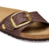 Madrid Big Buckle rafie Madrid Big Buckle rafie