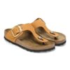 Piele nubuc Gizeh Big Buckle