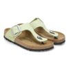 Piele nubuc Gizeh Big Buckle