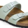 Sydney Birko-Flor Verde Surf grațios Sydney Birko-Flor Verde Surf grațios